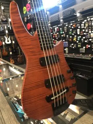 NS Steinberger Radius Bass V 2